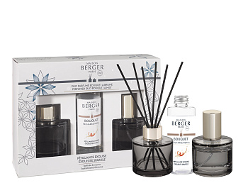 Набор подарочный Розали: интерьерные спрей-духи 50мл и диффузор 90мл с ароматом Брызги шампанского